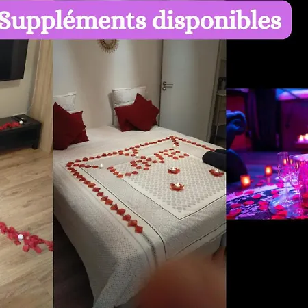 Privatespa Jacuzzi & Terrasse Privee Tuluza