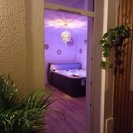Privatespa Jacuzzi & Terrasse Privee Τουλούζη